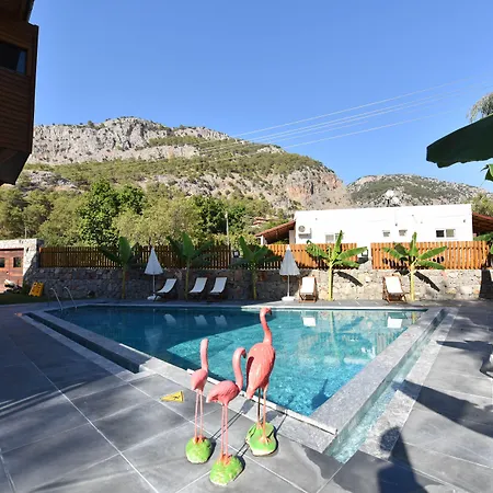 Отель Casa Luxury 3*