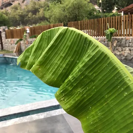 Casa Luxury Hotel Göcek