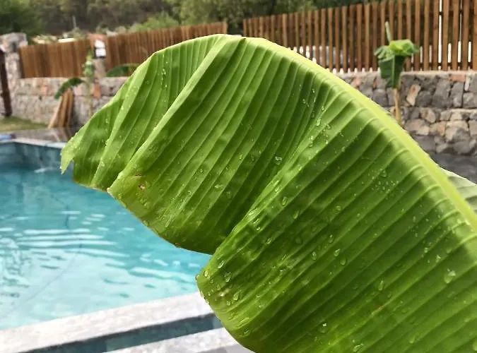 Casa Luxury Hotel Göcek